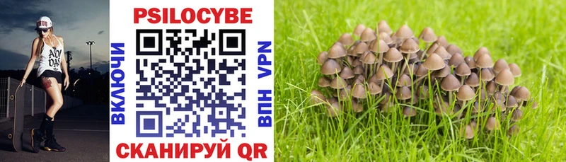 продажа наркотиков  mega рабочий сайт  Псилоцибиновые грибы Cubensis  Железногорск-Илимский 